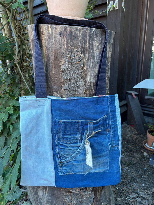 Carry On: Indigo Pocket